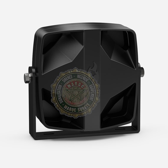 Haut-parleur VANGUARD 100W S-1019